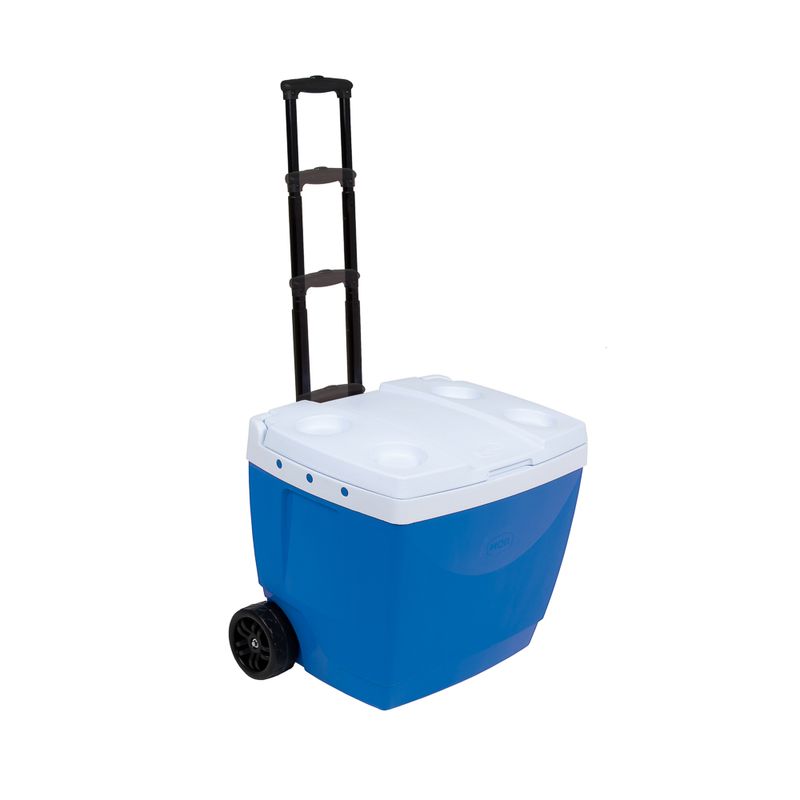 04-caixa-termica-42l-azul