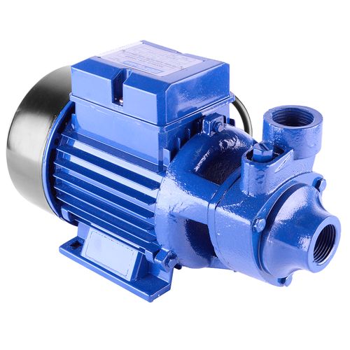 Motobomba Periférica Eletroplas Standard 1 CV ICS-100AB