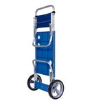 carrinho_de_praia_mor_azul_atras